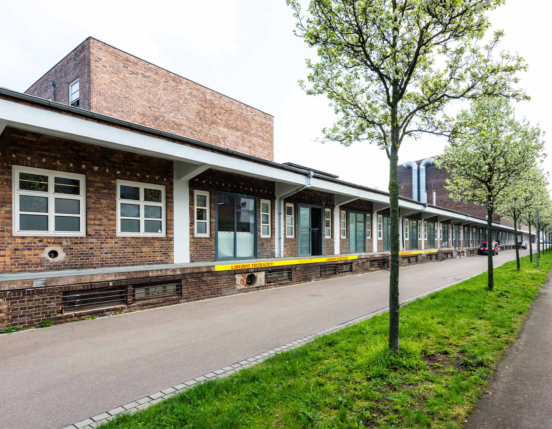 Flügeltore und Rampe an der Anliegerstraße der Konsumzentrale Leipzig, davor eine Baumreihe